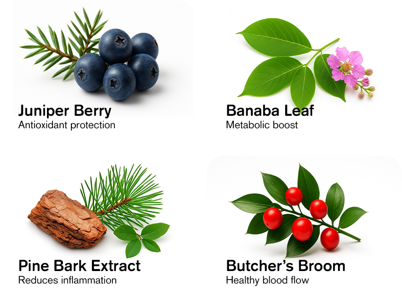 Ingredients-02-A